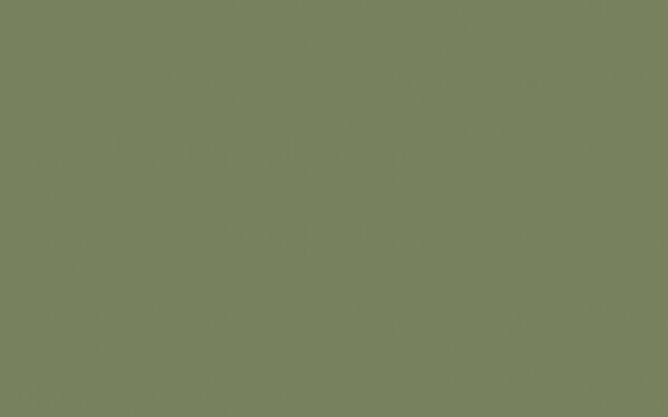 Sage Green - Absolute Matt Emulsion - 1 L