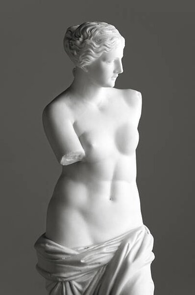 Konstfotografering Venus de Milo on grey, 221A, (26.7 x 40 cm)