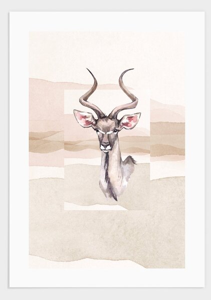 Antelope poster - 21x30