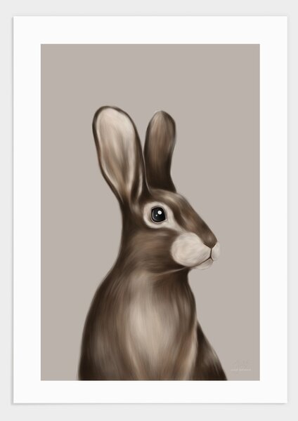 Rabbit poster - 30x40