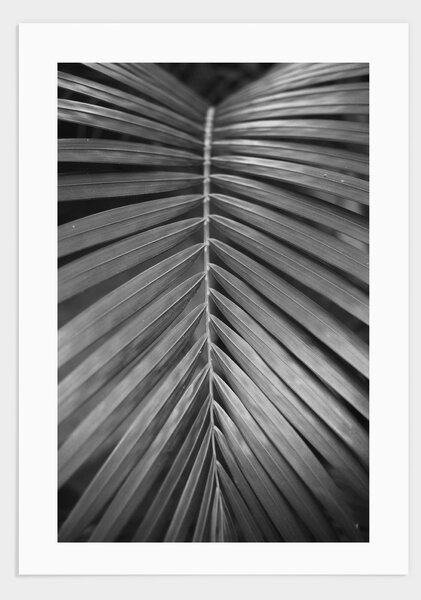Tropical 1 poster - 21x30