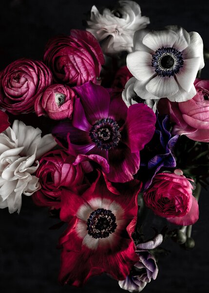 Fotografi Dark Flowers 1, Mareike Bohmer