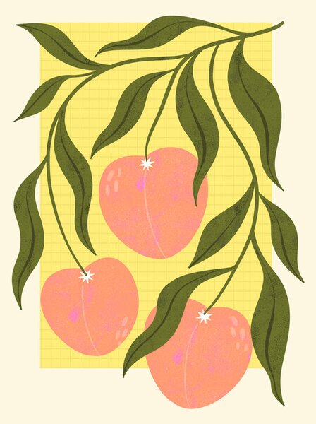 Illustration Peaches, Melissa Donne