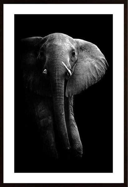 Elephant! Poster