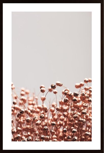 Dried Grass Copper 04 Poster