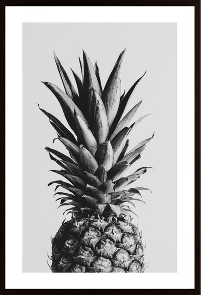 Pineapple Black A White 02 Poster