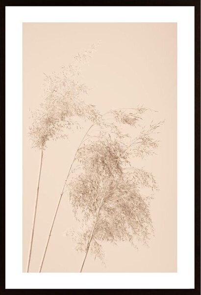 Reed Grass Beige 07 Poster