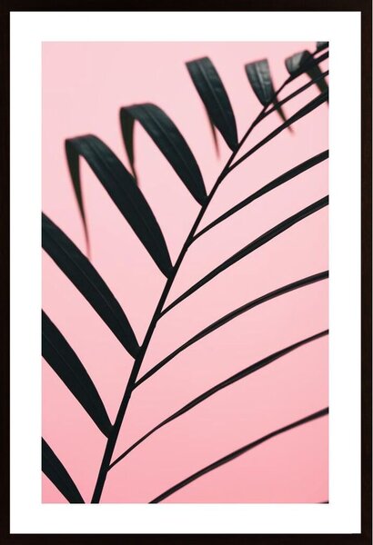 Graphic Palm Leaf 2 Poster