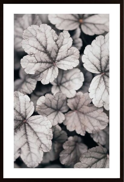 Gray-Pink Leaves Poster