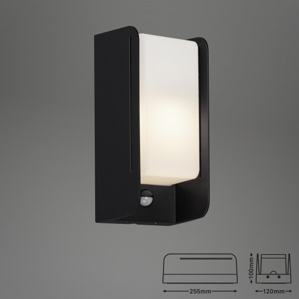 Briloner 3017-015 - Utomhus vägglampa med sensor 1xE27/12W/230V IP44